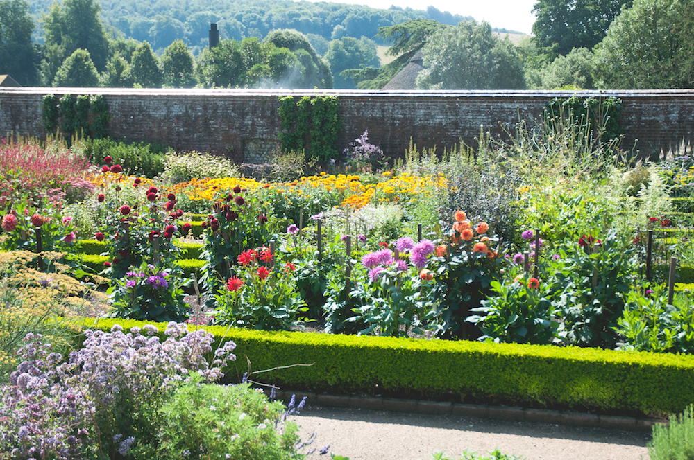 West dean gardens