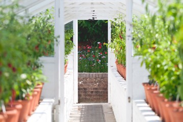 West dean gardens