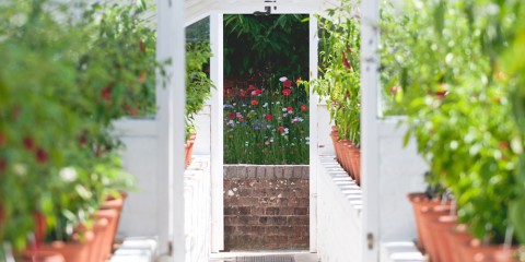 West dean gardens