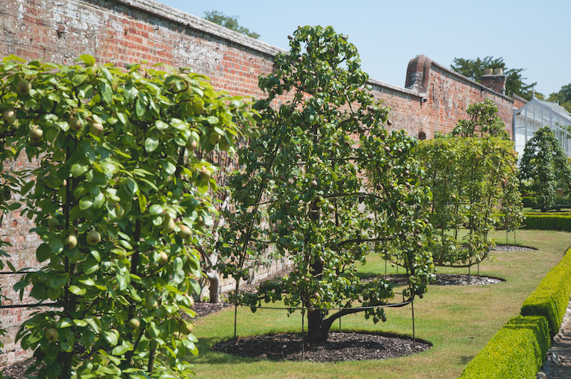 West dean gardens