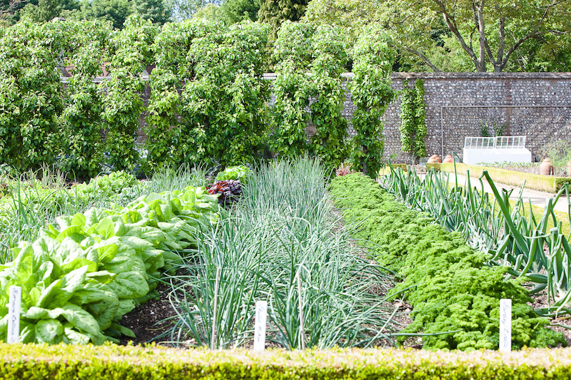 West Dean Kitchen Garden