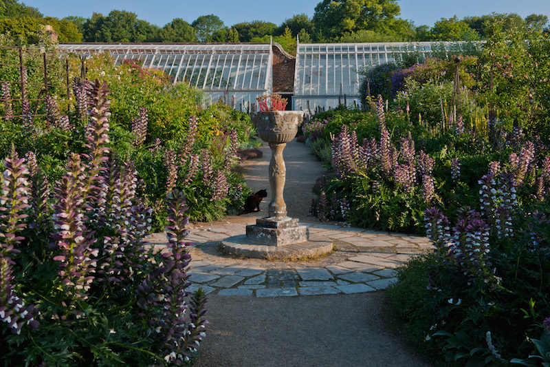 West dean gardens