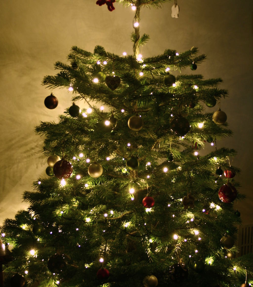 christmas tree
