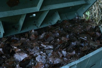 compost bin review