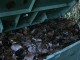 compost bin review