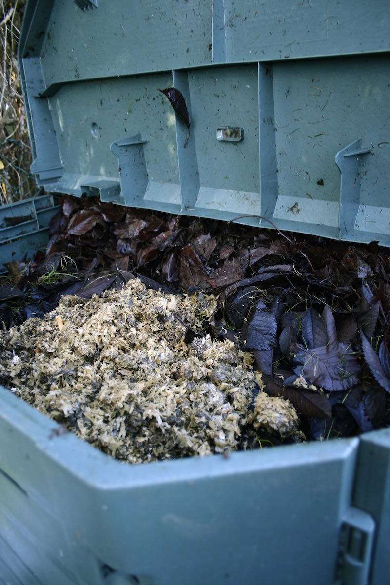 compost bin