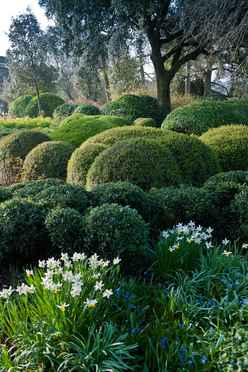 West dean gardens