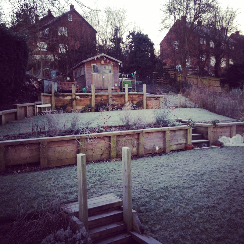 photo 1 (1)