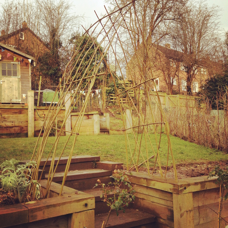 arch living willow