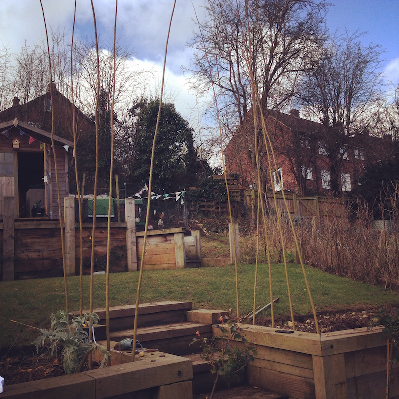 making a living willow arch