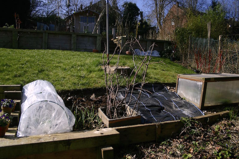 vegetable patch