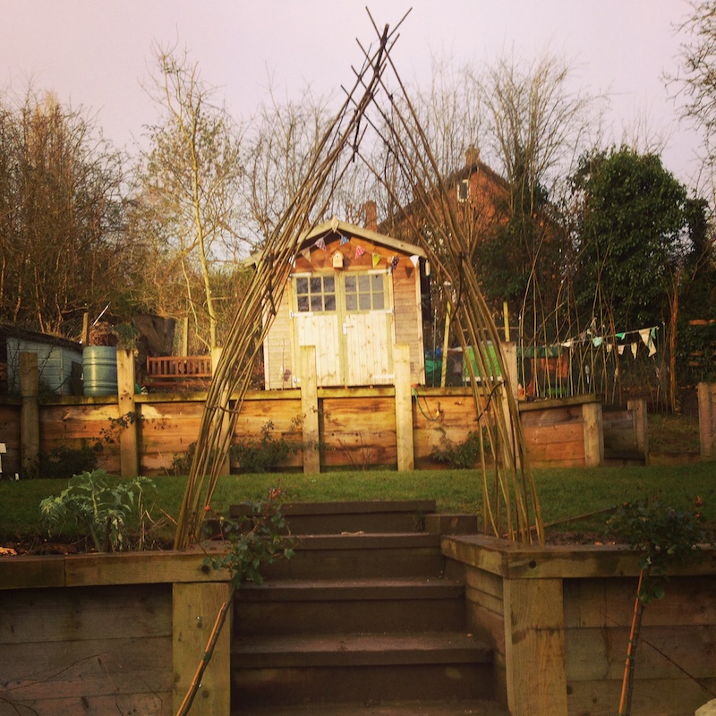 willow arch