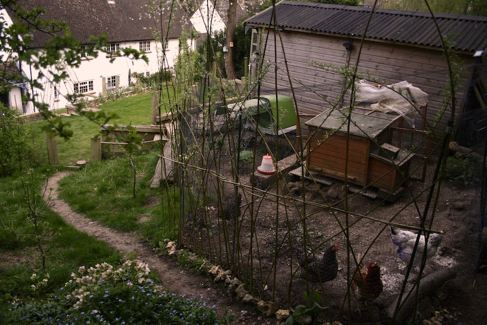 pretty hen garden