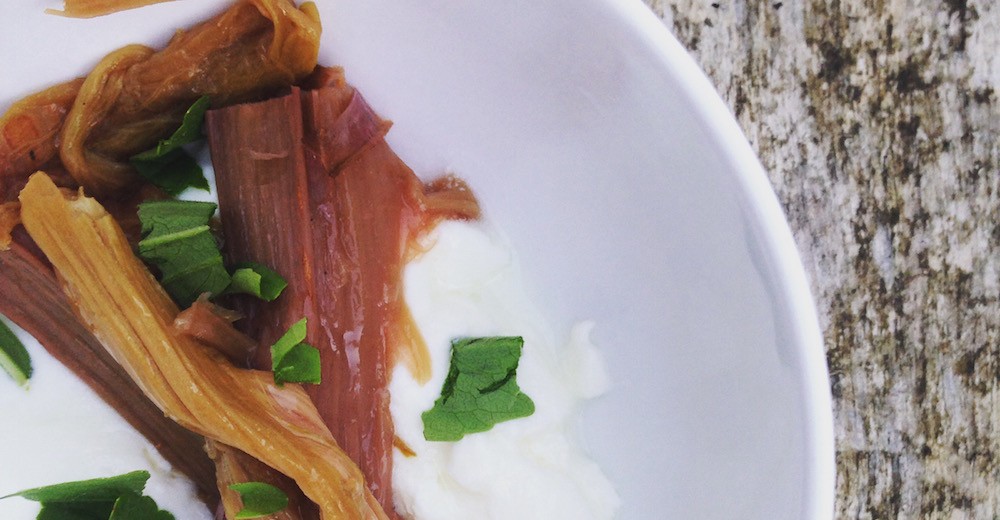 rhubarb stevia pudding