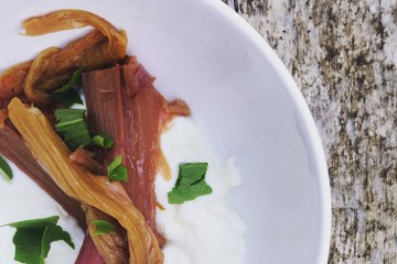 rhubarb stevia pudding