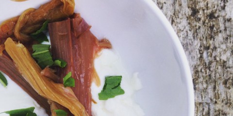 rhubarb stevia pudding
