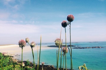 Wild leek