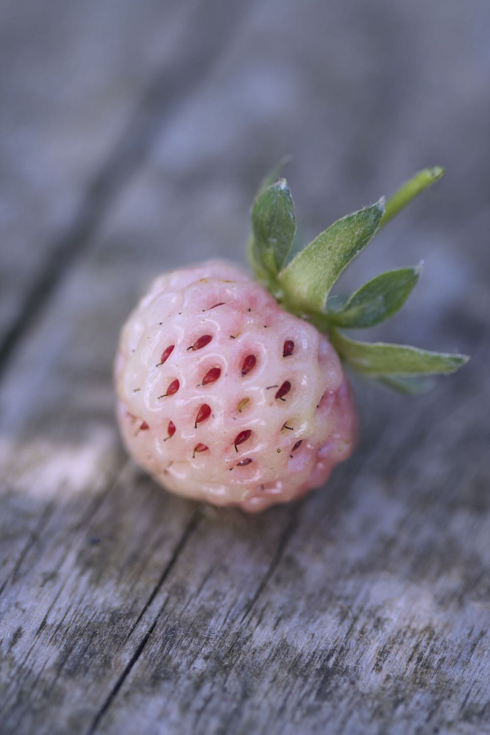 pineberry