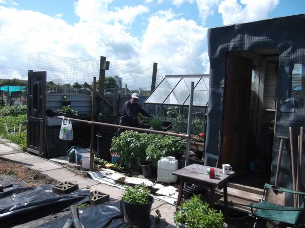 Claire's allotment