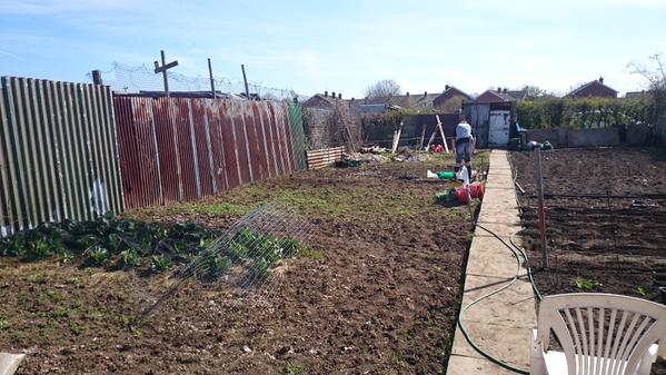 Claire's allotment