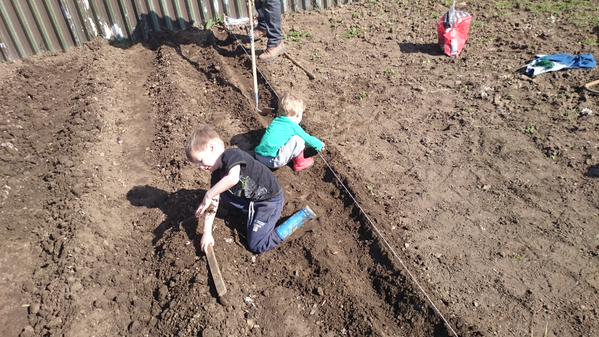 Claire's allotment