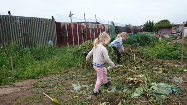 Claire's allotment