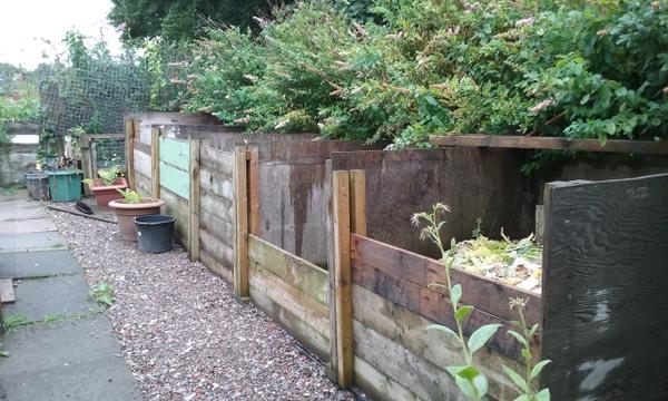 Margaret's allotment