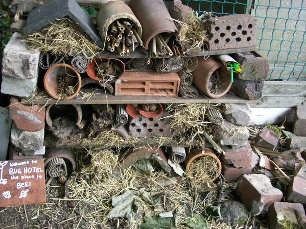 Margaret's allotment