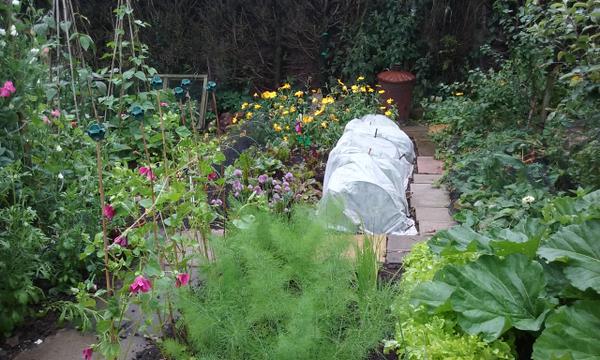 Margaret's allotment