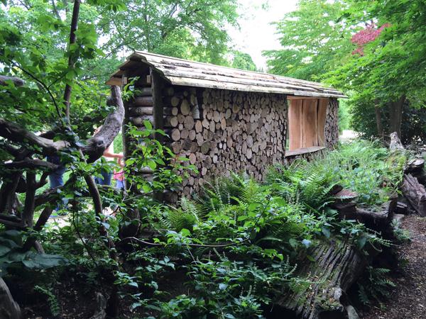 bug house