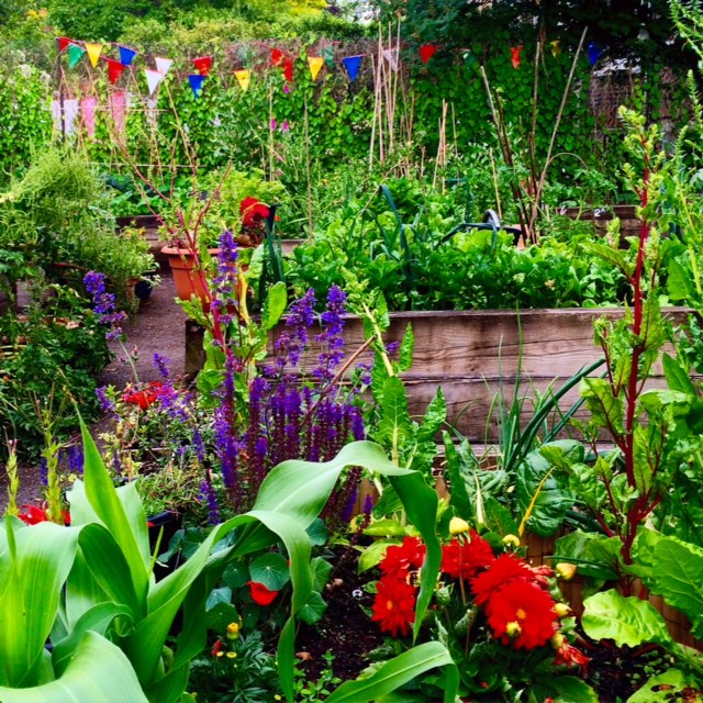 St Quintin's allotment