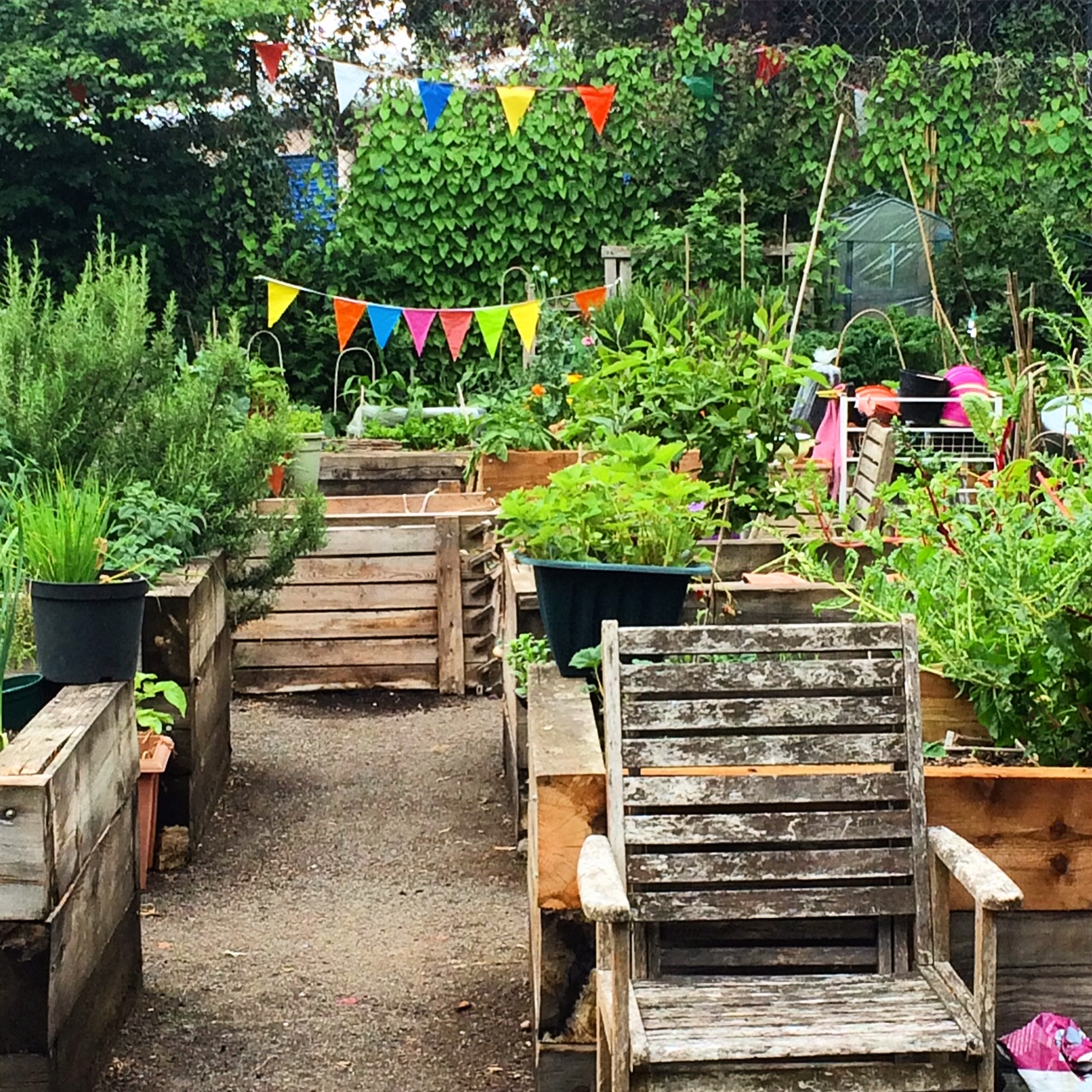 St Quintin's allotment