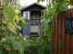 Katie's allotment