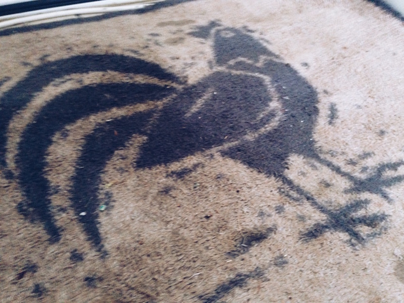 turtle mat