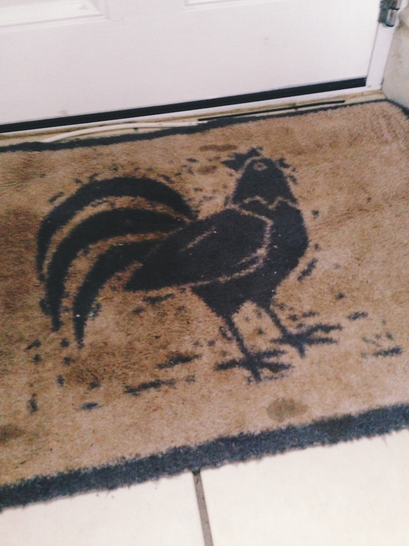 turtle mat
