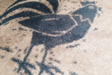 turtle mat