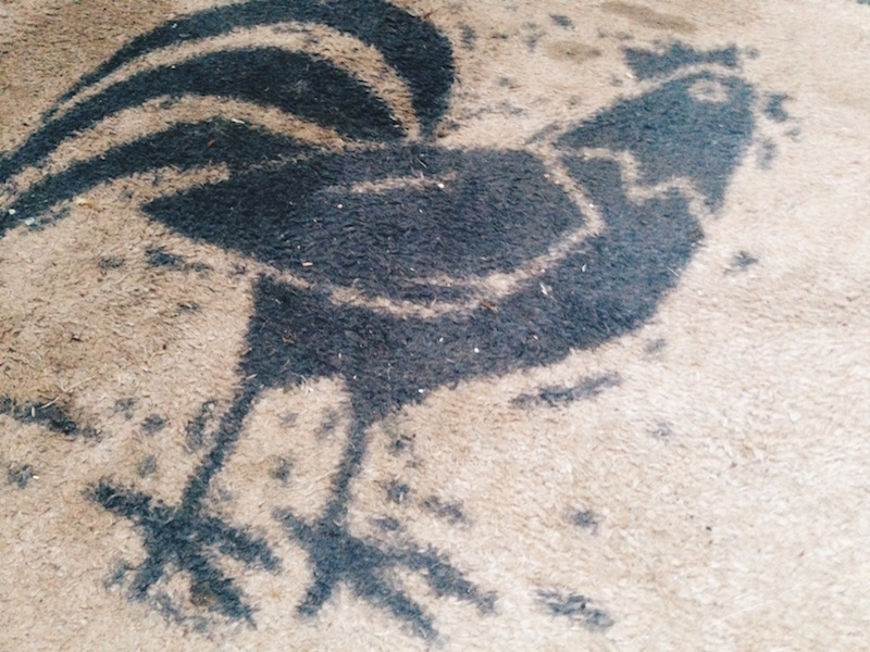 turtle mat