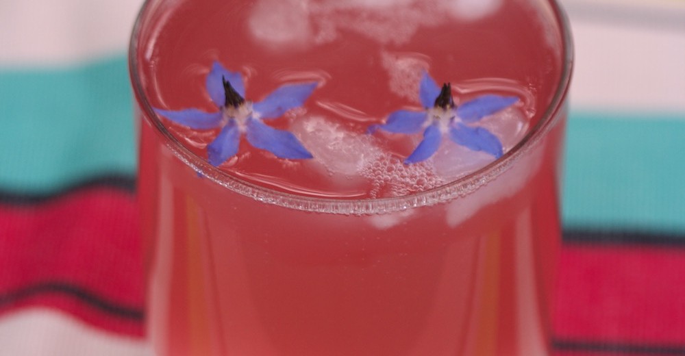 homemade rhubarb gin