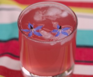 homemade rhubarb gin