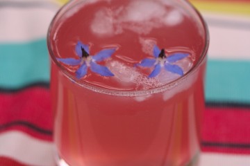 homemade rhubarb gin