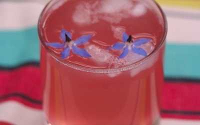 homemade rhubarb gin