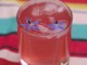 homemade rhubarb gin