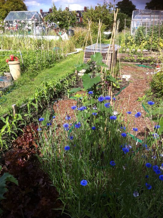 image2 (1)