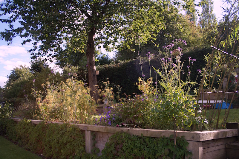 late summer border side