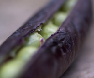 purple peas