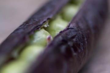 purple peas