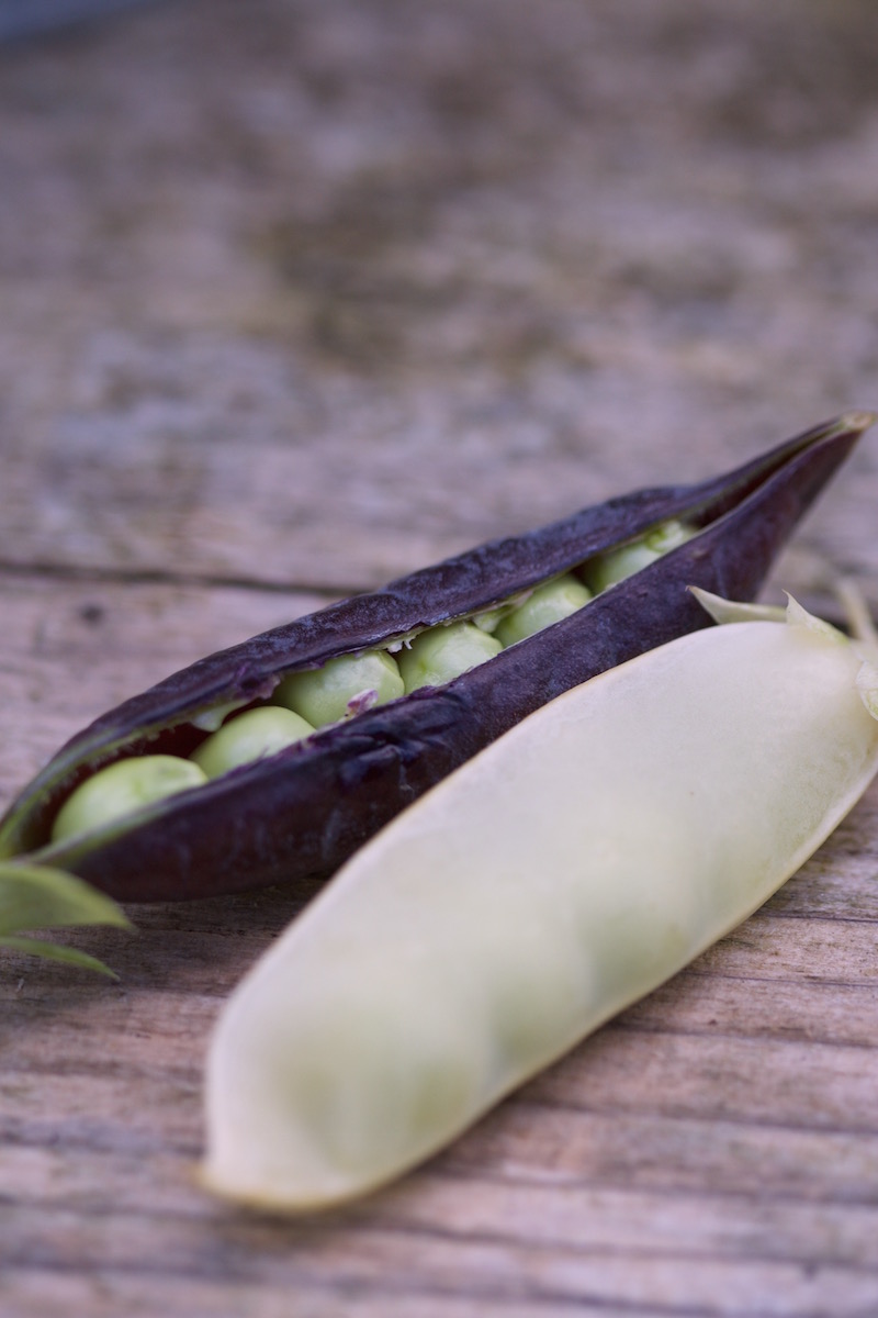 purple peas and yellow mangetout