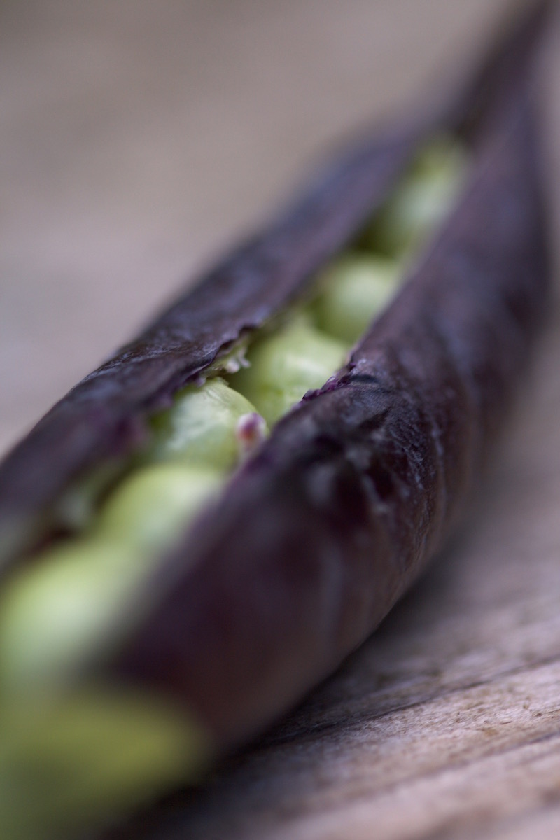 purple peas