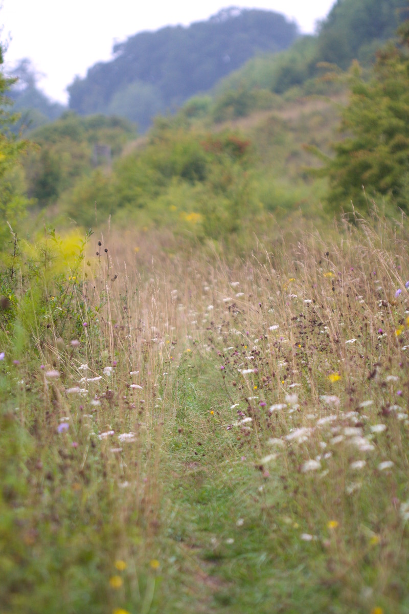 sands bank nature reserve
