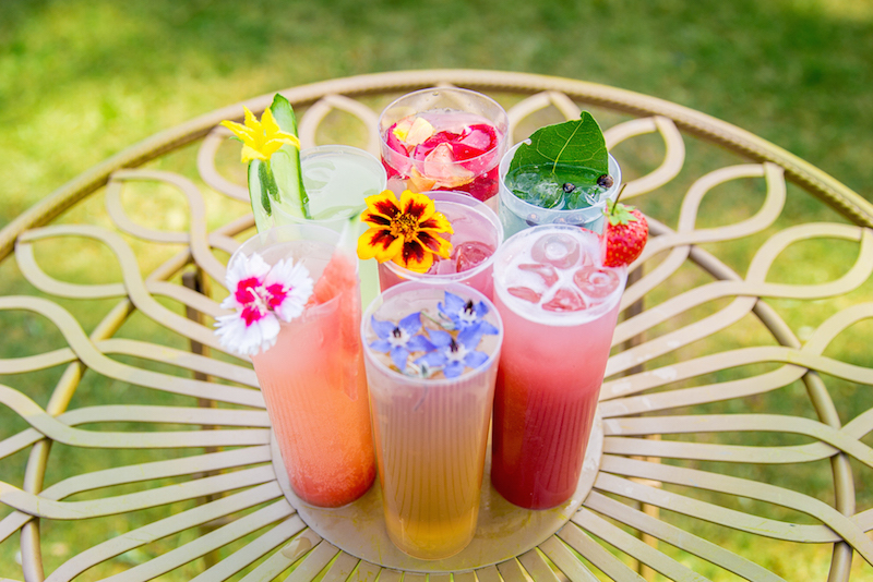 The Gin Garden